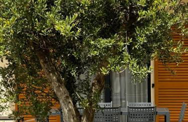 Résidence Catalina - Foto 99