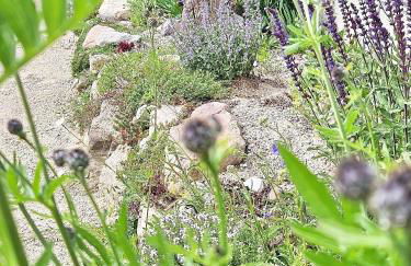 Ferienhaus Sommerwiese - ABC327 - Foto 14