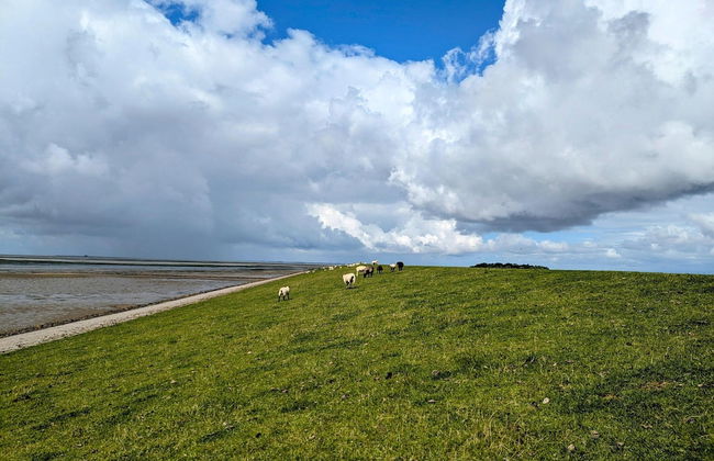 Penthouse am Nordstrand auf dem Deich - Foto 20