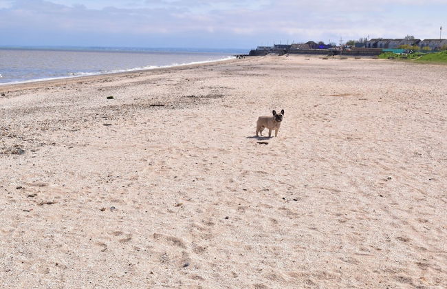 1 Bed Chalet - Sleeps 4 - Pets, Parking, Wifi - Foto 12