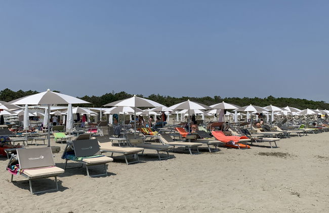 Dog's Bungalow - Foto 49