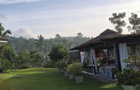 Asuneus Farm - Foto 14