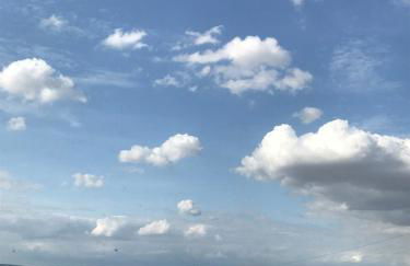 Laupus-Hof - Photo 44