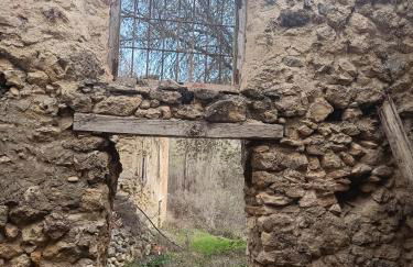 Xenia Alojamientos - Foto 58