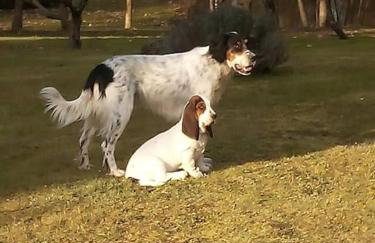 Dépendance pour 1 à 4 pers au calme dans propriété - Foto 12