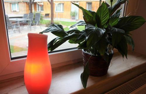 Spreewald Unterkünfte - Foto 8