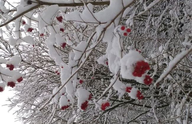 Holiday Apartment Lohr-drewes 2 - Foto 21