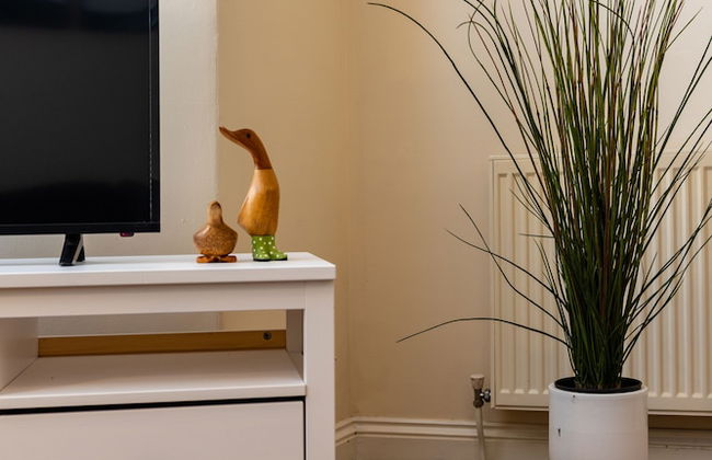 Ford Park Apartment - Photo 20