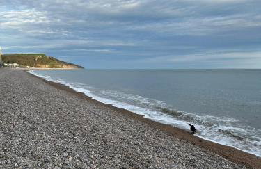 Nutshell Cottage - Foto 32