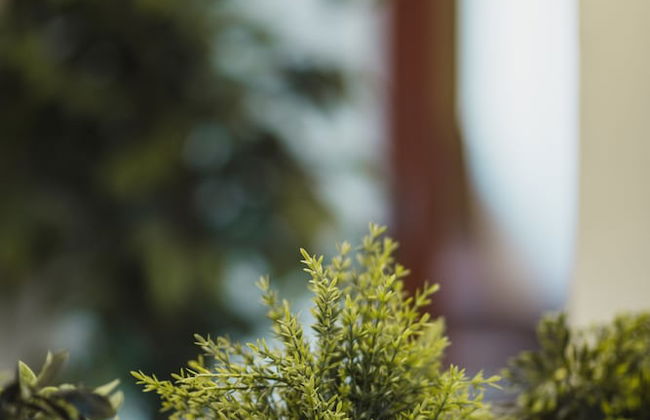 Sea Cliff Court - Photo 51