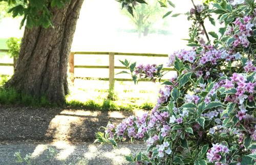 Cotswolds Retreat - Foto 12