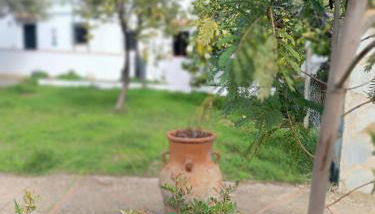 Las Casitas de Higuera - Foto 5, Garden