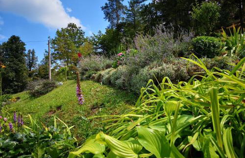 Holiday House Kod Ajke - Foto 38