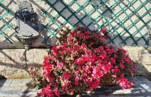 Charming House in Parada with Large Garden - Foto 60