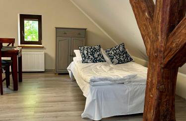 Mazurska Zagroda - Żabi Rechot - dom - stodoła - jacuzi-sauna - Photo 17