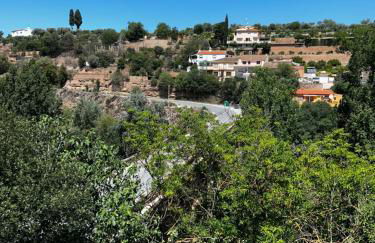 El puente de lata 1 - Photo 5