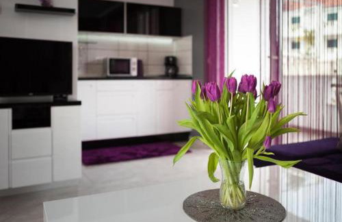 La Perla Apartments - Photo 29