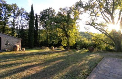 Il Bosco del Lebbio - Foto 5