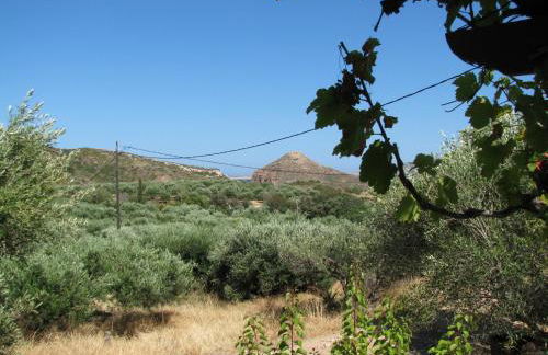 Sunrise Apartments - Photo 57