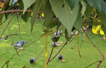 Peaceful home - Foto 45