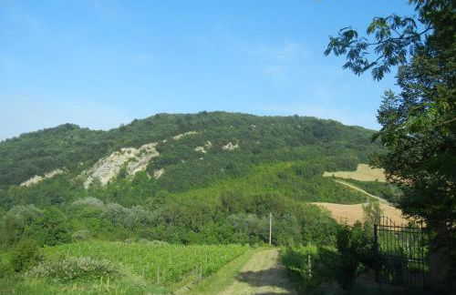 La Colombarola Agriturismo - Foto 14