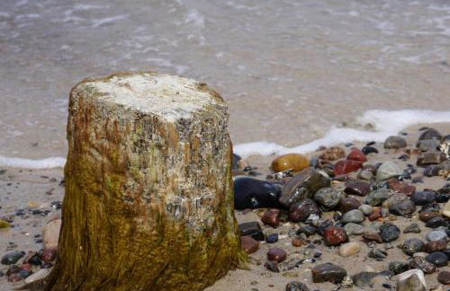 Maison du Bonheur - Foto 26