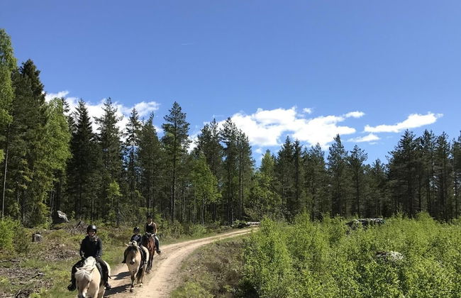 Grönelid Gård - Foto 28