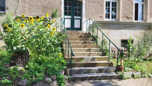 Landhaus Suckow - Foto 3, Garden view