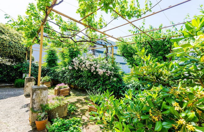 Guest House Ivana - Foto 29