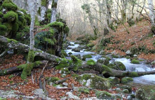 Borgo Antico - Foto 6