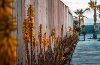 Horizon Luxury Seafront Villa - Foto 30