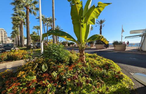 CHESTER Riviera Escape - Appartement calme, terrasse & clim proche Croisette et centre - Foto 41