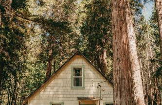 Orchard House! Recharge at Peaceful Nature Escape - Foto 11