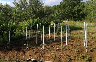 Apartments with a parking space Poljica, Zadar - 13289 - Foto 10