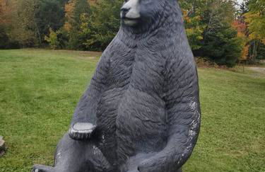 Bear Mountain Lodge. 560 Acre Wooded Estate. - Foto 42