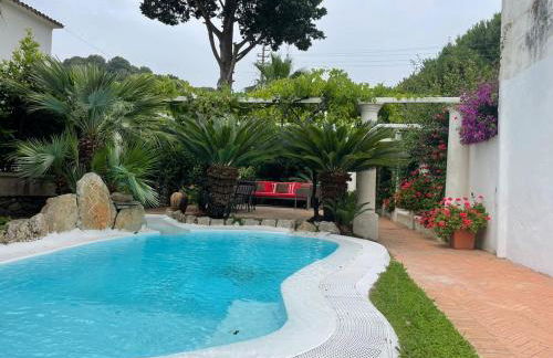 Villa La Firulina, Capri - Foto 8