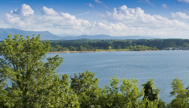 Miss Beehaven - Foto 4, Habitación