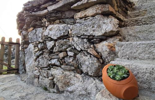 Cardenha da Bessada - Foto 25