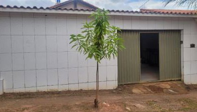 Casa dos gatos - Foto 4