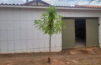 Casa dos gatos - Foto 4