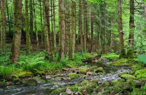 Rückzugsort mit Bergblick in Baiersbronn-Obertal - beheizter Wintergarten & kostenfreier Parkplatz - 70qm Ferienwohnung - Foto 16