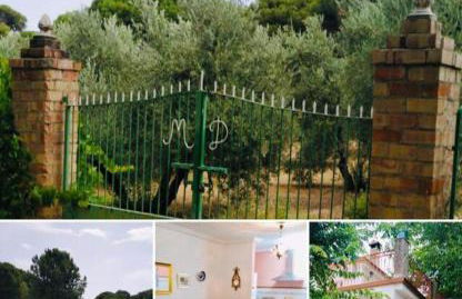 La Isabelita - Foto 31