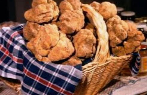 Moncalvo in Relax - Foto 29