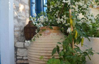 Petrinο Katochori - Foto 21