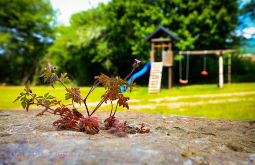 WoodenHouse with two Apartments - Foto 26