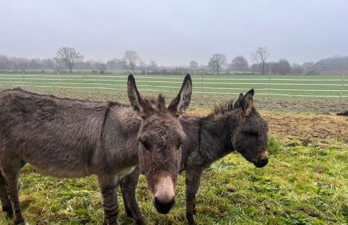 Wohnen im ehemaligen Kuhstall Stiehler Farm - Foto 40