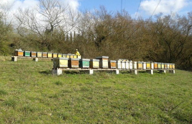 Agriturismo Selvapiana - Foto 48