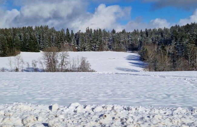 Waldresidenz Comfortable Holiday Residence - Photo 19