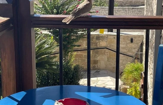 Nikis House - Foto 42