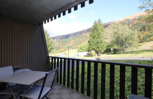 T2 Bis au Pied des Pistes - Capacité 4 Pers. - FR-1-608-142 - Foto 3